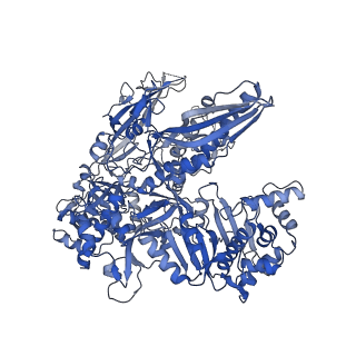 12612_7nvt_B_v1-1
RNA polymerase II core pre-initiation complex with closed promoter DNA in distal position