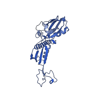 12612_7nvt_C_v1-1
RNA polymerase II core pre-initiation complex with closed promoter DNA in distal position