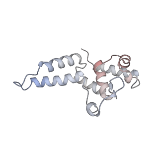 12612_7nvt_D_v1-1
RNA polymerase II core pre-initiation complex with closed promoter DNA in distal position