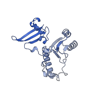 12612_7nvt_E_v1-1
RNA polymerase II core pre-initiation complex with closed promoter DNA in distal position