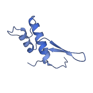 12612_7nvt_F_v1-1
RNA polymerase II core pre-initiation complex with closed promoter DNA in distal position