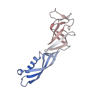 12612_7nvt_G_v1-1
RNA polymerase II core pre-initiation complex with closed promoter DNA in distal position
