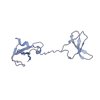 12612_7nvt_I_v1-1
RNA polymerase II core pre-initiation complex with closed promoter DNA in distal position