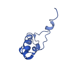 12612_7nvt_J_v1-1
RNA polymerase II core pre-initiation complex with closed promoter DNA in distal position