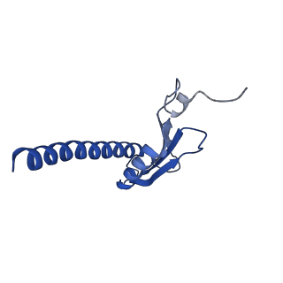 12612_7nvt_K_v1-1
RNA polymerase II core pre-initiation complex with closed promoter DNA in distal position