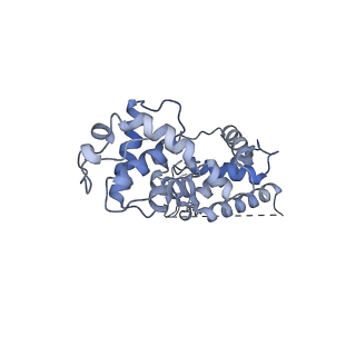 12612_7nvt_M_v1-1
RNA polymerase II core pre-initiation complex with closed promoter DNA in distal position