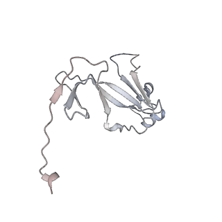 12612_7nvt_Q_v1-1
RNA polymerase II core pre-initiation complex with closed promoter DNA in distal position