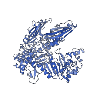 12613_7nvu_B_v1-1
RNA polymerase II core pre-initiation complex with open promoter DNA