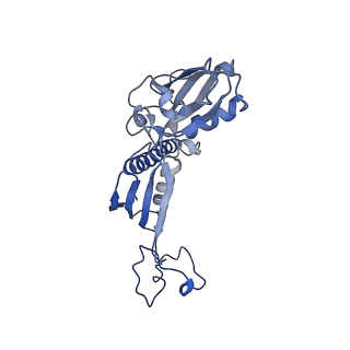12613_7nvu_C_v1-1
RNA polymerase II core pre-initiation complex with open promoter DNA