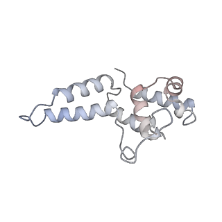 12613_7nvu_D_v1-1
RNA polymerase II core pre-initiation complex with open promoter DNA