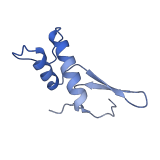 12613_7nvu_F_v1-1
RNA polymerase II core pre-initiation complex with open promoter DNA
