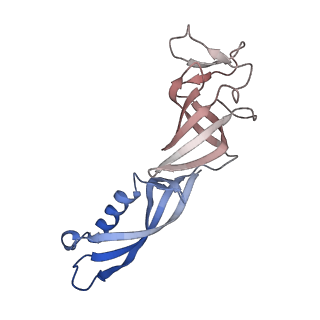 12613_7nvu_G_v1-1
RNA polymerase II core pre-initiation complex with open promoter DNA