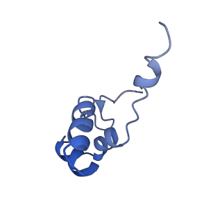 12613_7nvu_J_v1-1
RNA polymerase II core pre-initiation complex with open promoter DNA
