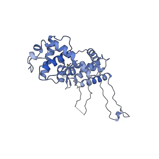 12613_7nvu_M_v1-1
RNA polymerase II core pre-initiation complex with open promoter DNA