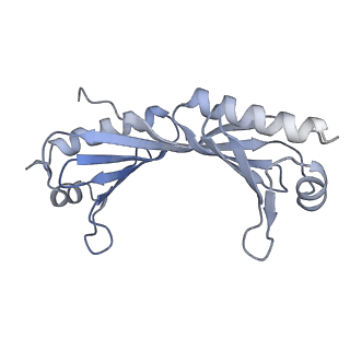 12613_7nvu_O_v1-1
RNA polymerase II core pre-initiation complex with open promoter DNA