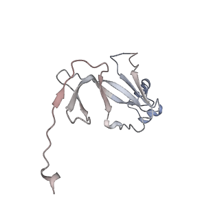 12613_7nvu_Q_v1-1
RNA polymerase II core pre-initiation complex with open promoter DNA
