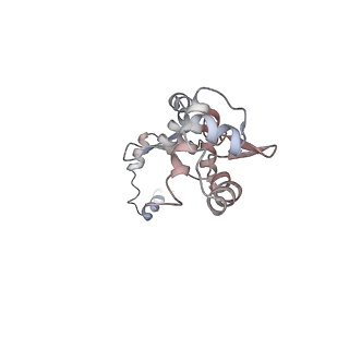 12613_7nvu_X_v1-1
RNA polymerase II core pre-initiation complex with open promoter DNA