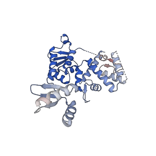 12614_7nvv_2_v1-1
XPB-containing part of TFIIH in a post-translocated state (with ADP-BeF3)