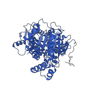 12614_7nvv_7_v1-1
XPB-containing part of TFIIH in a post-translocated state (with ADP-BeF3)