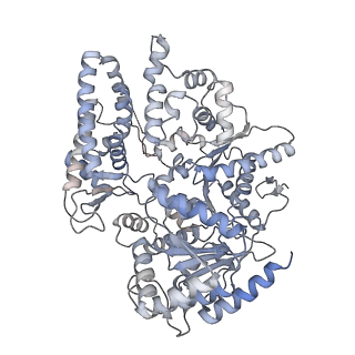 12615_7nvw_0_v1-1
TFIIH in a pre-translocated state (without ADP-BeF3)
