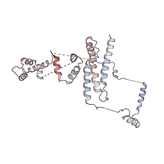 12615_7nvw_1_v1-1
TFIIH in a pre-translocated state (without ADP-BeF3)