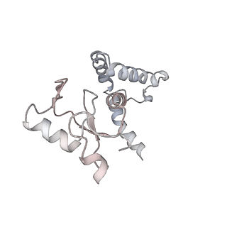 12615_7nvw_3_v1-1
TFIIH in a pre-translocated state (without ADP-BeF3)