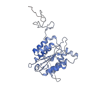 12615_7nvw_4_v1-1
TFIIH in a pre-translocated state (without ADP-BeF3)