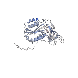 12615_7nvw_6_v1-1
TFIIH in a pre-translocated state (without ADP-BeF3)