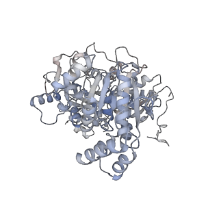 12615_7nvw_7_v1-1
TFIIH in a pre-translocated state (without ADP-BeF3)