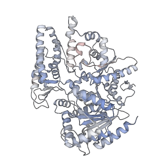 12616_7nvx_0_v1-1
TFIIH in a post-translocated state (with ADP-BeF3)