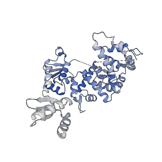 12616_7nvx_2_v1-1
TFIIH in a post-translocated state (with ADP-BeF3)