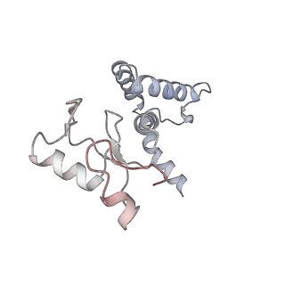 12616_7nvx_3_v1-1
TFIIH in a post-translocated state (with ADP-BeF3)