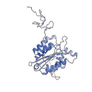 12616_7nvx_4_v1-1
TFIIH in a post-translocated state (with ADP-BeF3)