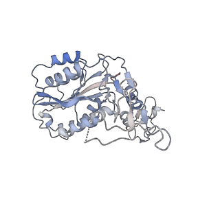 12616_7nvx_6_v1-1
TFIIH in a post-translocated state (with ADP-BeF3)