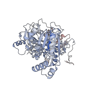 12616_7nvx_7_v1-1
TFIIH in a post-translocated state (with ADP-BeF3)