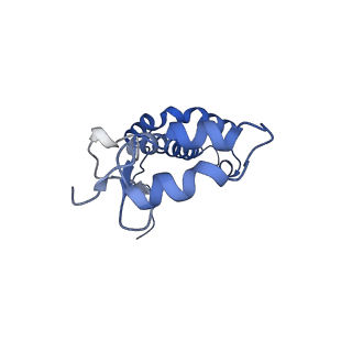 0524_6nwa_F_v2-0
The structure of the photosystem I IsiA super-complex