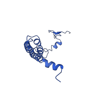 0524_6nwa_L_v2-0
The structure of the photosystem I IsiA super-complex