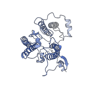 0524_6nwa_Y_v2-0
The structure of the photosystem I IsiA super-complex