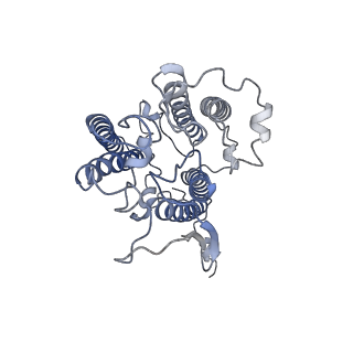 0524_6nwa_Z_v2-0
The structure of the photosystem I IsiA super-complex