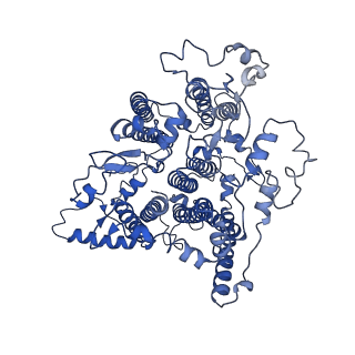 0524_6nwa_b_v2-0
The structure of the photosystem I IsiA super-complex