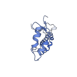 0524_6nwa_f_v2-0
The structure of the photosystem I IsiA super-complex