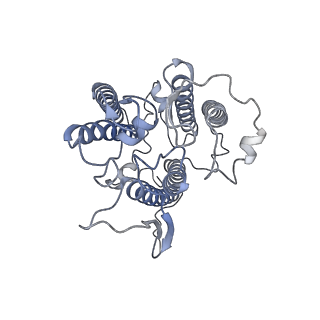 0524_6nwa_g_v2-0
The structure of the photosystem I IsiA super-complex