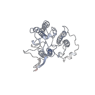 0524_6nwa_n_v2-0
The structure of the photosystem I IsiA super-complex