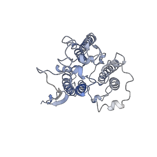 0524_6nwa_o_v2-0
The structure of the photosystem I IsiA super-complex