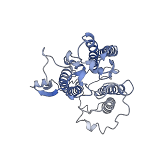 0524_6nwa_p_v2-0
The structure of the photosystem I IsiA super-complex