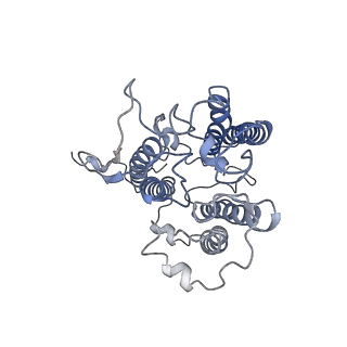 0524_6nwa_q_v2-0
The structure of the photosystem I IsiA super-complex