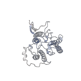 0524_6nwa_t_v2-0
The structure of the photosystem I IsiA super-complex