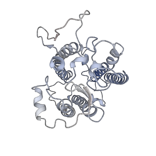 0524_6nwa_v_v2-0
The structure of the photosystem I IsiA super-complex