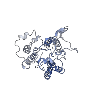 0524_6nwa_w_v2-0
The structure of the photosystem I IsiA super-complex