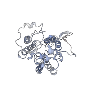 0524_6nwa_x_v2-0
The structure of the photosystem I IsiA super-complex